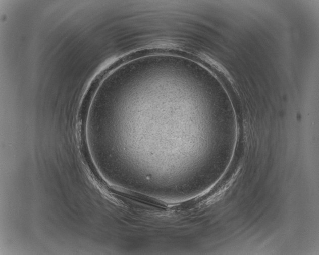 X0000064751029200602131221