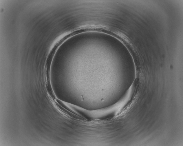 X0000064751030200602131221