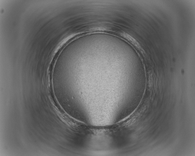 X0000064751031200602131221