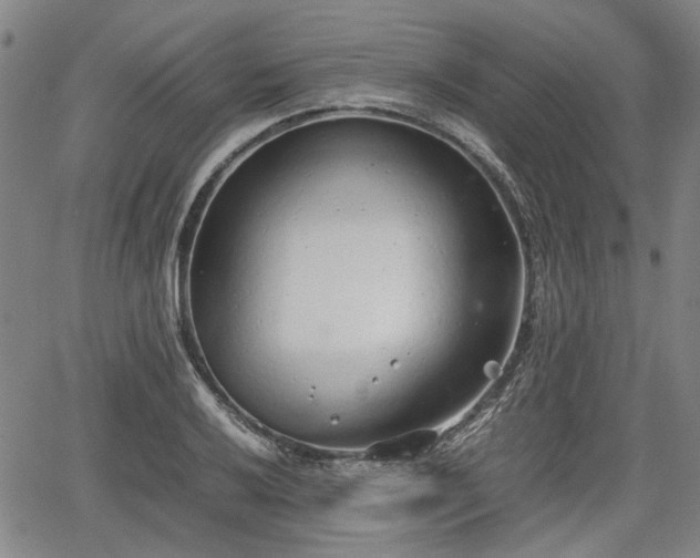 X0000064751032200602131221