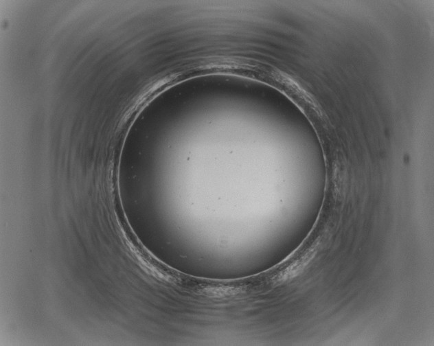 X0000064751033200602131221