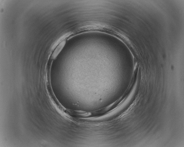 X0000064751034200602131221