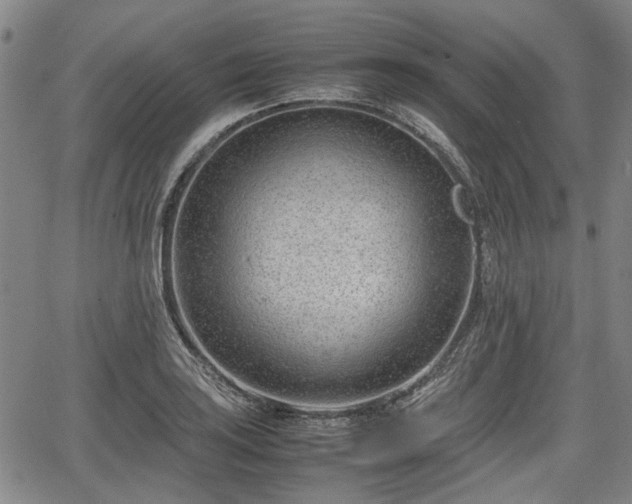 X0000064751035200602131221