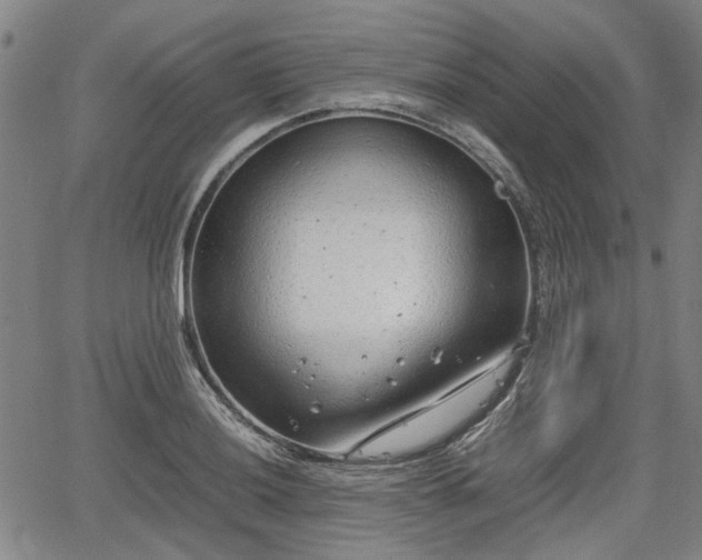 X0000064751036200602131221