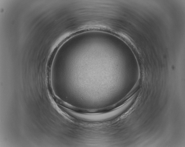 X0000064751038200602131221