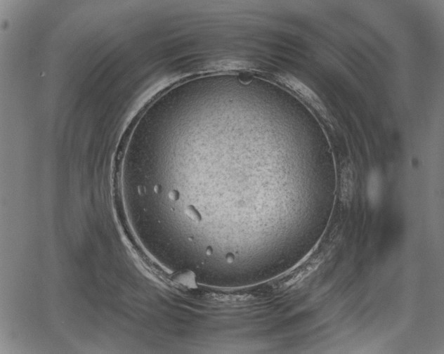 X0000064751039200602131221