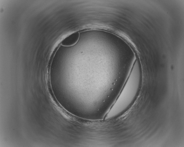 X0000064751040200602131221