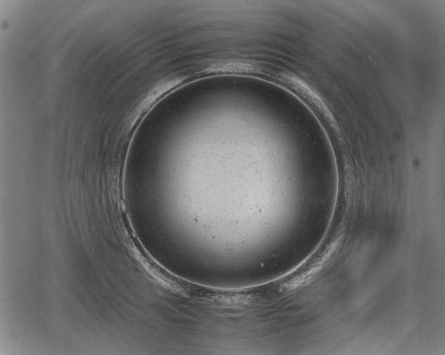 X0000064751041200602131221