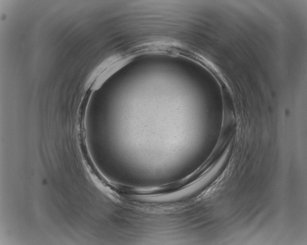 X0000064751042200602131221