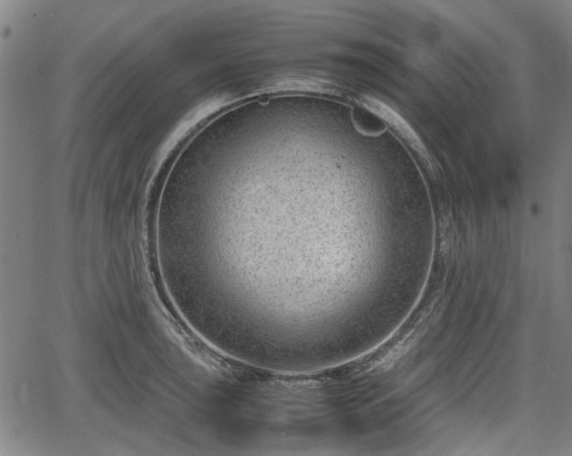 X0000064751043200602131221