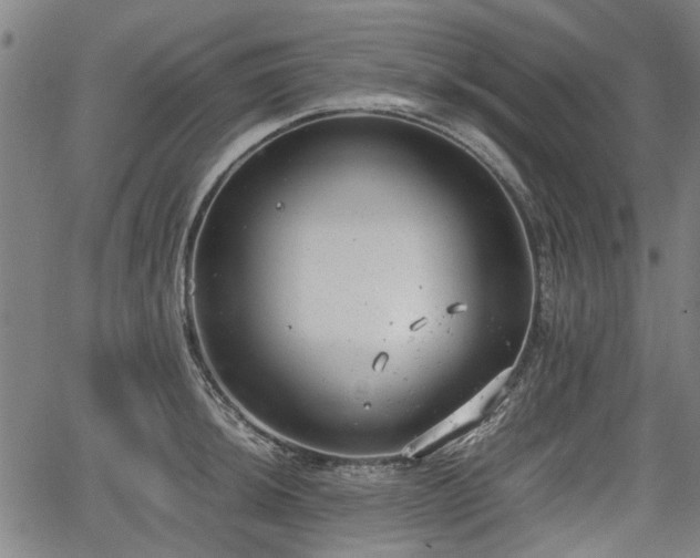 X0000064751044200602131221