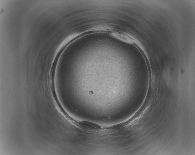 X0000064751045200602131221