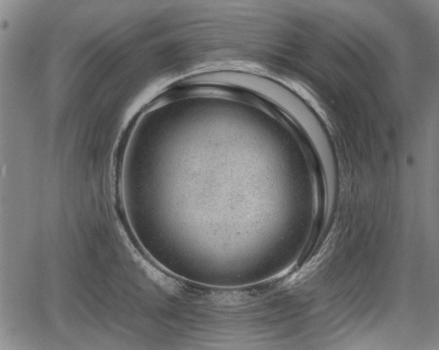 X0000064751046200602131221