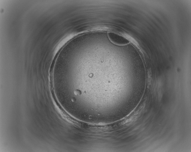 X0000064751047200602131221