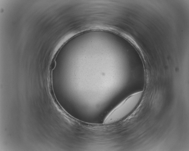 X0000064751048200602131221