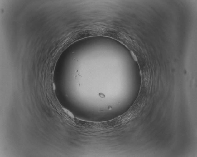 X0000064751057200602131221