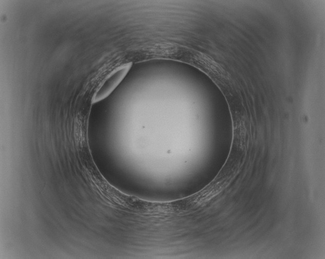 X0000064751058200602131221