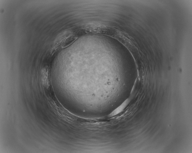 X0000064751060200602131221