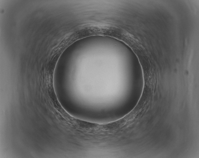 X0000064751061200602131221