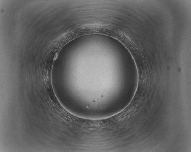 X0000064751062200602131221