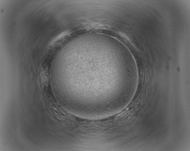 X0000064751063200602131221