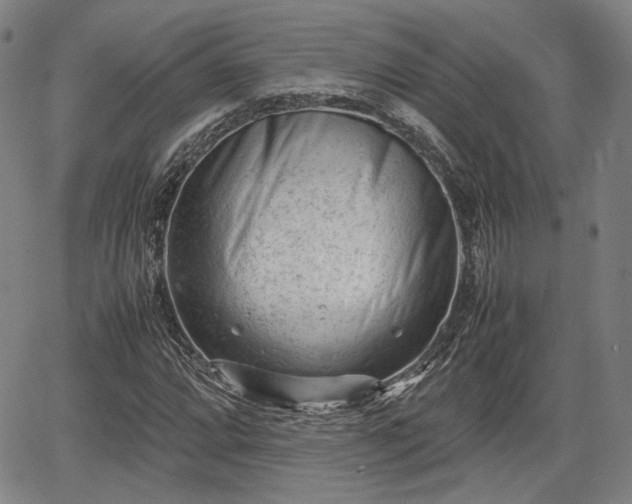 X0000064751064200602131221