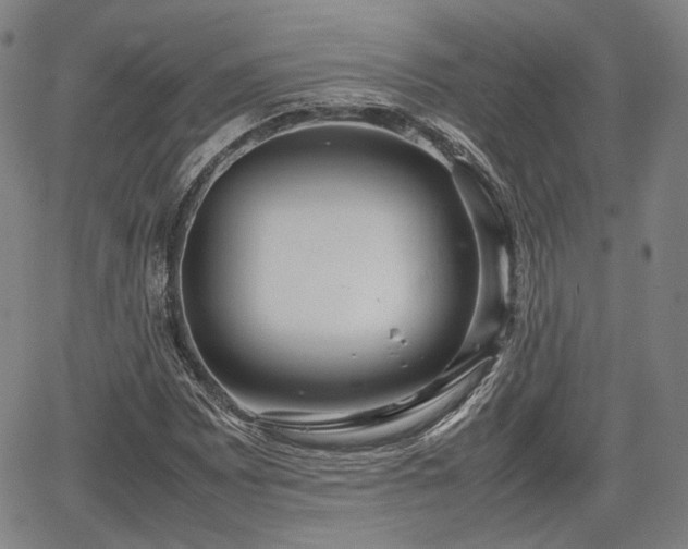 X0000064751065200602131221