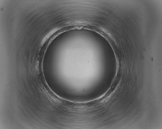 X0000064751066200602131221