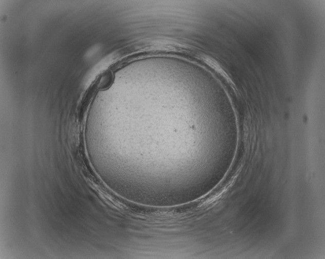 X0000064751067200602131221