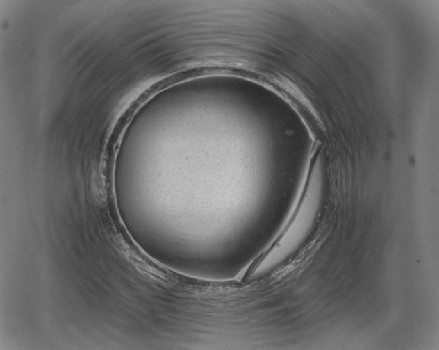 X0000064751068200602131221