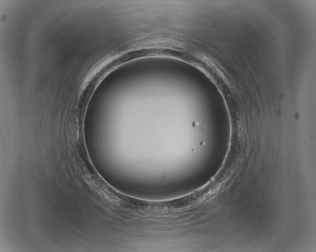 X0000064751069200602131221