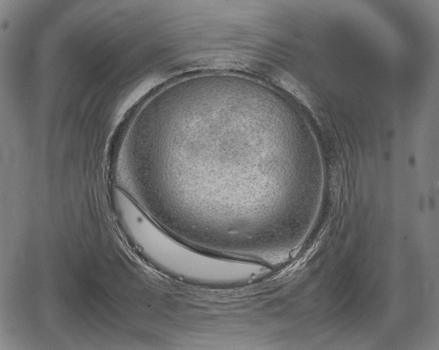 X0000064751071200602131221