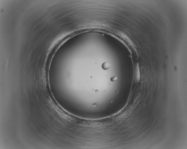 X0000064751072200602131221