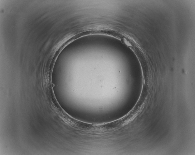 X0000064751073200602131221