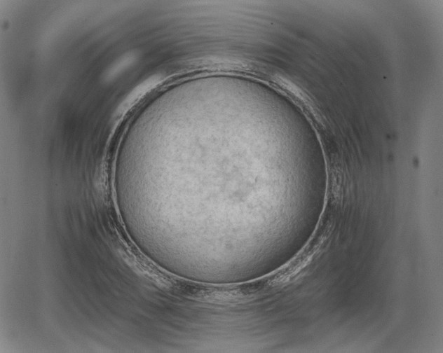 X0000064751074200602131221