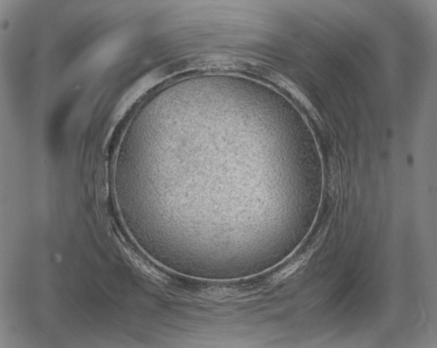 X0000064751075200602131221