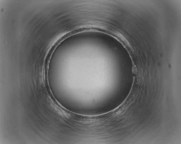 X0000064751076200602131221