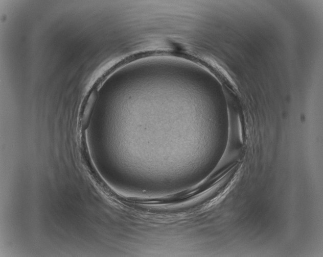 X0000064751077200602131220