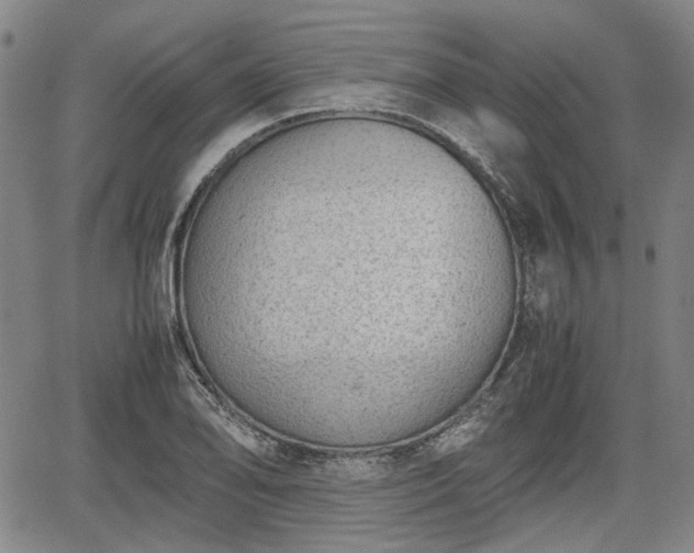 X0000064751078200602131220