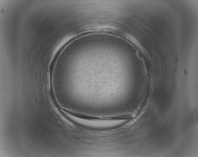 X0000064751079200602131220