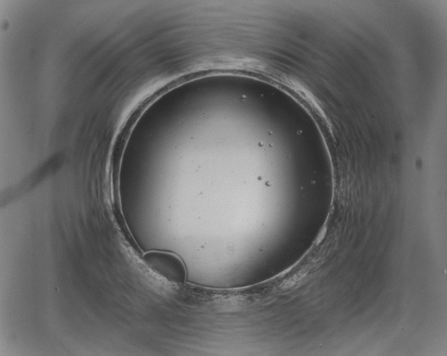 X0000064751080200602131220