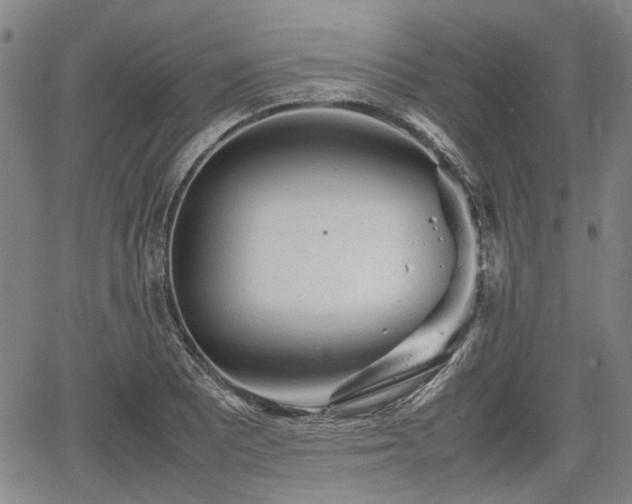 X0000064751081200602131220