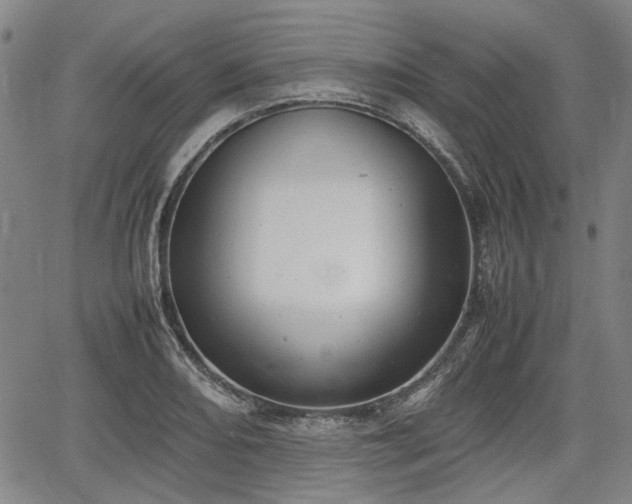 X0000064751082200602131220