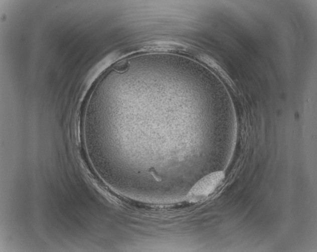 X0000064751083200602131220