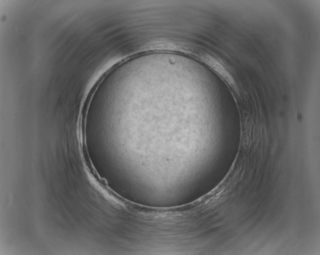 X0000064751084200602131220