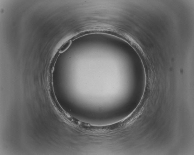 X0000064751085200602131220