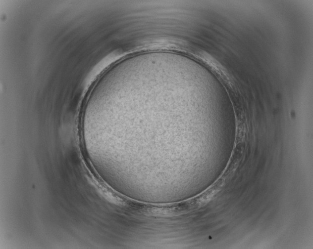 X0000064751086200602131220