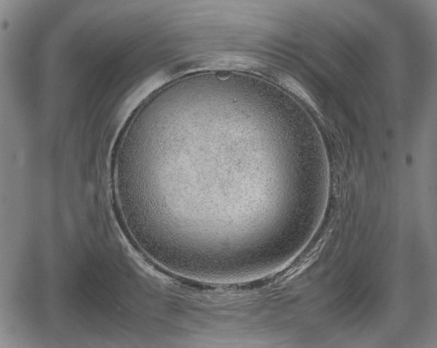 X0000064751087200602131220