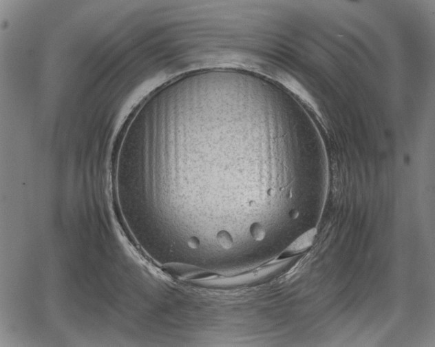 X0000064751088200602131220