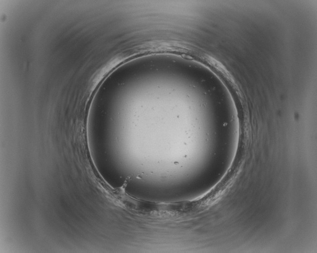 X0000064751089200602131220